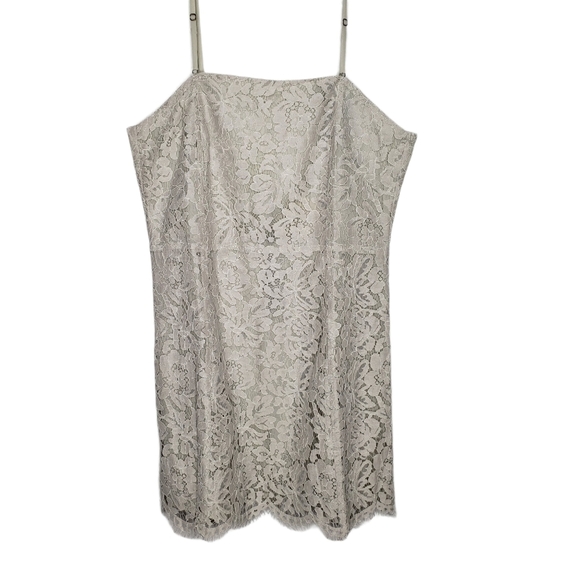 CHASER Gray Lace Mini Dress - Picture 9 of 12